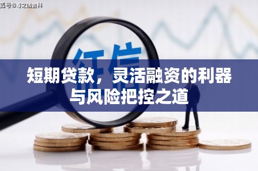 温宿短期贷款，灵活融资的利器与风险把控之道