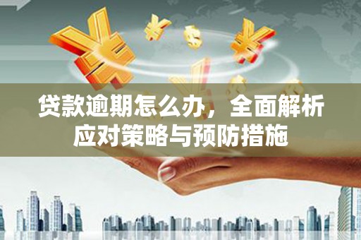 温宿贷款逾期怎么办，全面解析应对策略与预防措施