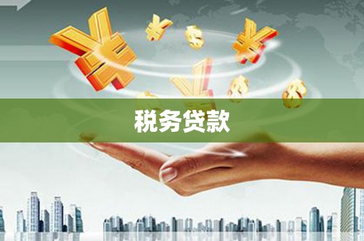 温宿税务贷款