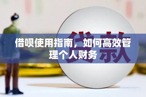 温宿借呗使用指南，如何高效管理个人财务