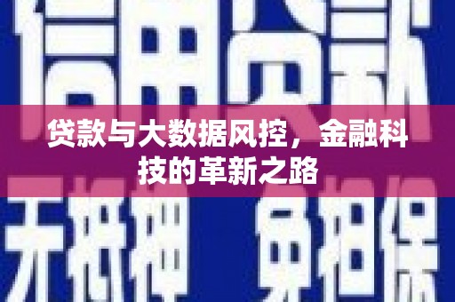 温宿贷款与大数据风控，金融科技的革新之路
