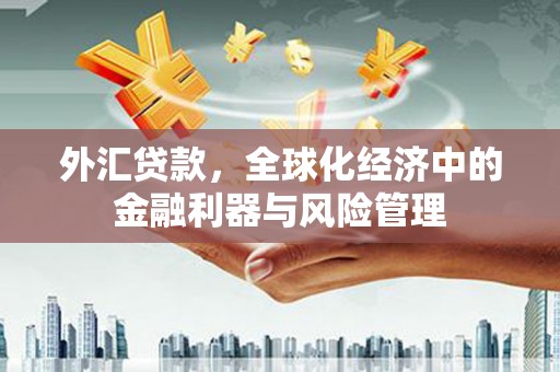 温宿外汇贷款，全球化经济中的金融利器与风险管理