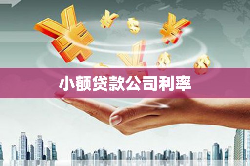温宿小额贷款公司利率