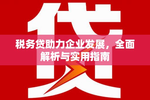 温宿税务贷助力企业发展，全面解析与实用指南