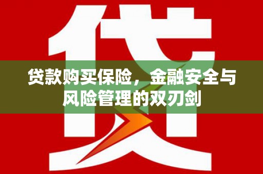 温宿贷款购买保险，金融安全与风险管理的双刃剑