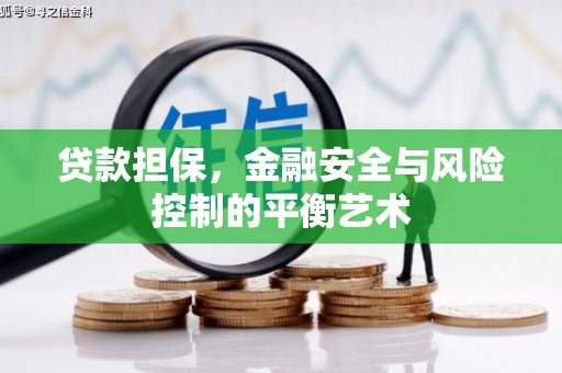 温宿贷款担保，金融安全与风险控制的平衡艺术