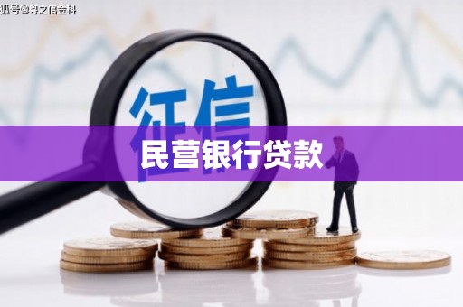温宿民营银行贷款