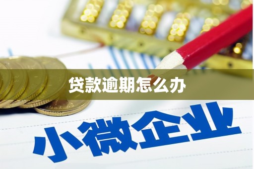 温宿贷款逾期怎么办