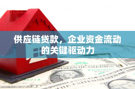 温宿供应链贷款，企业资金流动的关键驱动力