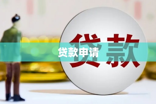 温宿贷款申请