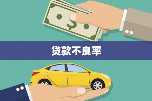 温宿贷款不良率