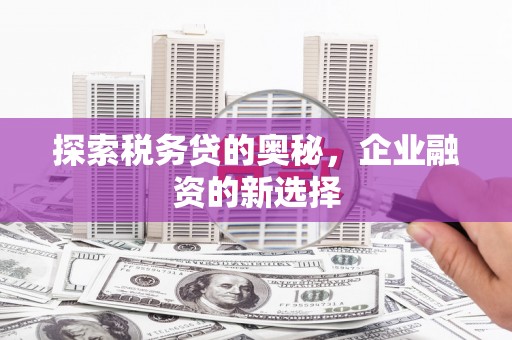 温宿探索税务贷的奥秘，企业融资的新选择
