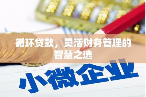温宿循环贷款，灵活财务管理的智慧之选