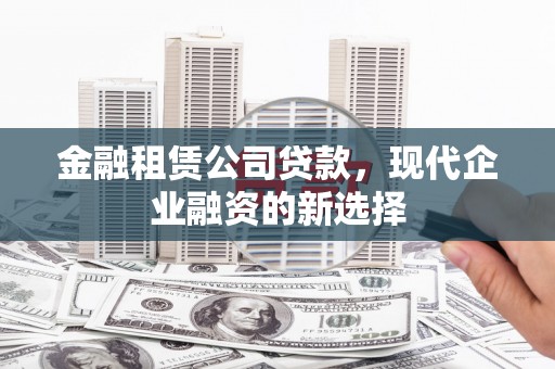 温宿金融租赁公司贷款，现代企业融资的新选择