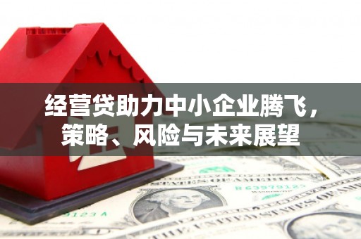 温宿经营贷助力中小企业腾飞，策略、风险与未来展望