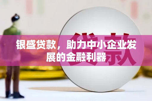 温宿银盛贷款，助力中小企业发展的金融利器