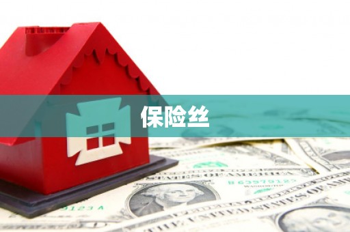温宿保险丝