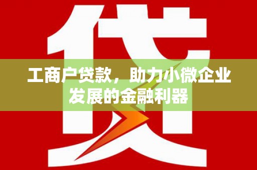 温宿工商户贷款，助力小微企业发展的金融利器