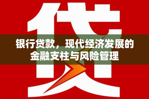 温宿银行贷款，现代经济发展的金融支柱与风险管理