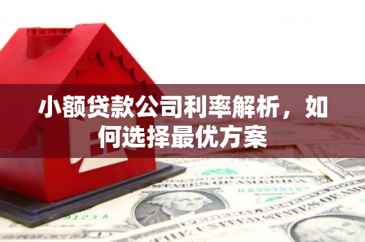 温宿小额贷款公司利率解析，如何选择最优方案