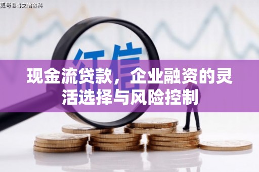 温宿现金流贷款，企业融资的灵活选择与风险控制