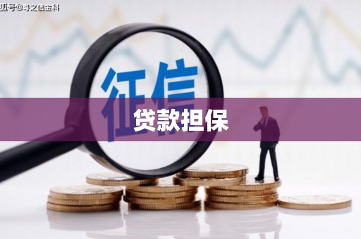 温宿贷款担保