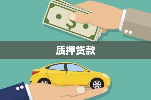 温宿质押贷款