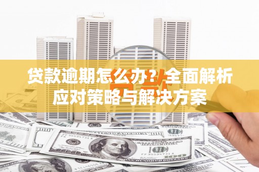 温宿贷款逾期怎么办？全面解析应对策略与解决方案