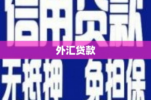 温宿外汇贷款