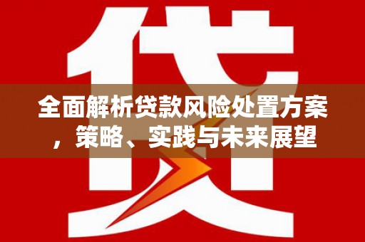 温宿全面解析贷款风险处置方案，策略、实践与未来展望