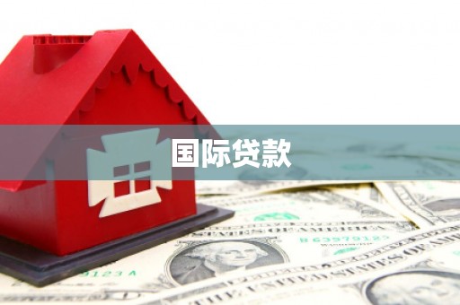 温宿国际贷款