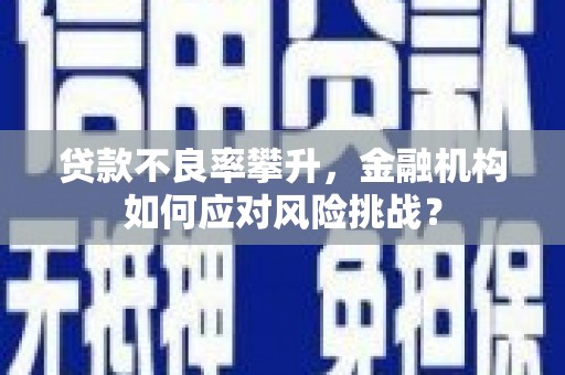 温宿贷款不良率攀升，金融机构如何应对风险挑战？