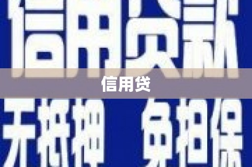 温宿信用贷
