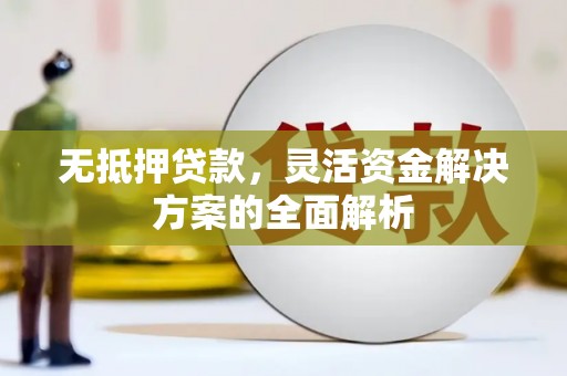 温宿无抵押贷款，灵活资金解决方案的全面解析