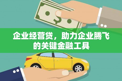 温宿企业经营贷，助力企业腾飞的关键金融工具