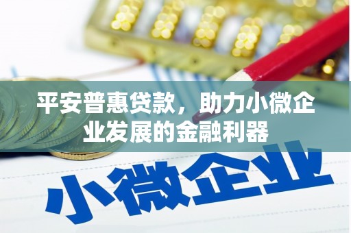 温宿平安普惠贷款，助力小微企业发展的金融利器