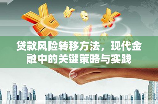 温宿贷款风险转移方法，现代金融中的关键策略与实践