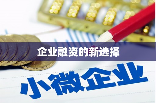 温宿企业融资的新选择