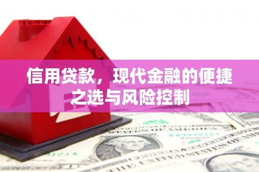 温宿信用贷款，现代金融的便捷之选与风险控制