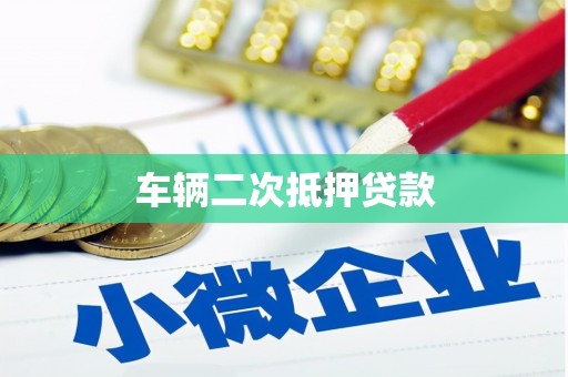 温宿车辆二次抵押贷款