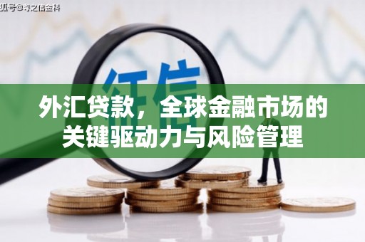 温宿外汇贷款，全球金融市场的关键驱动力与风险管理