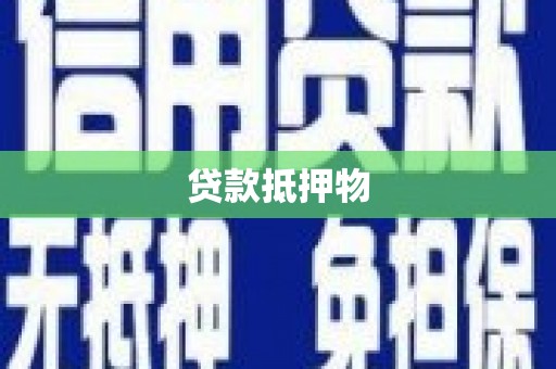 温宿贷款抵押物