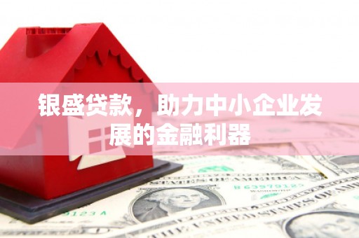 温宿银盛贷款，助力中小企业发展的金融利器
