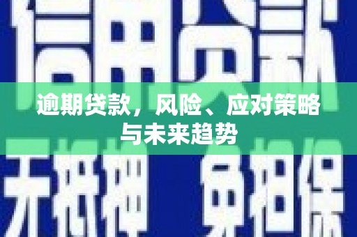 温宿逾期贷款，风险、应对策略与未来趋势