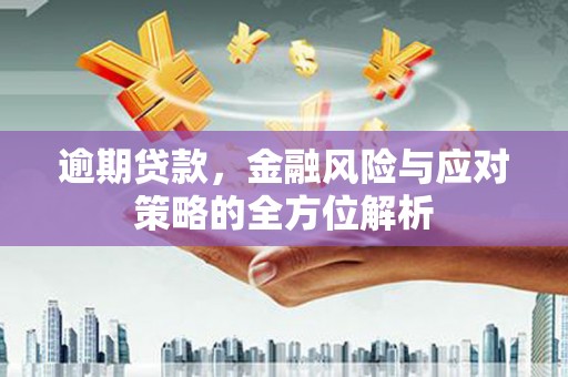 温宿逾期贷款，金融风险与应对策略的全方位解析