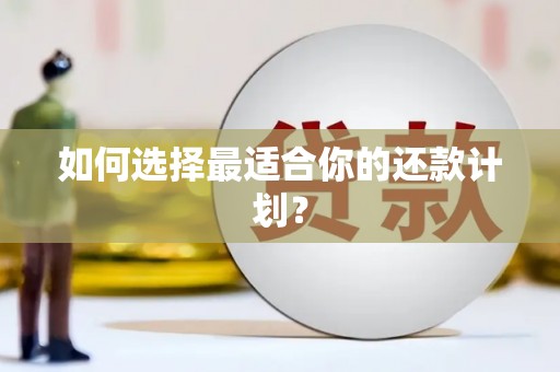 温宿如何选择最适合你的还款计划？