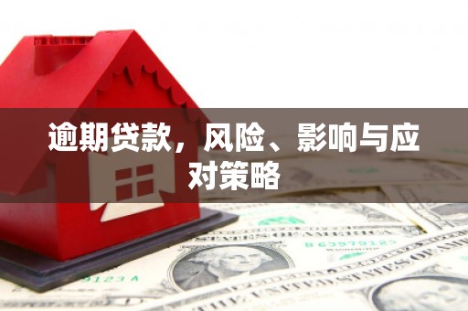 温宿逾期贷款，风险、影响与应对策略