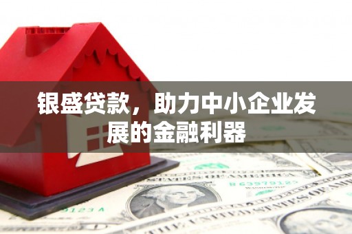 温宿银盛贷款，助力中小企业发展的金融利器