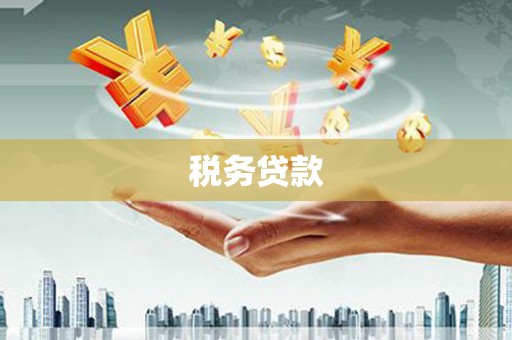 温宿税务贷款