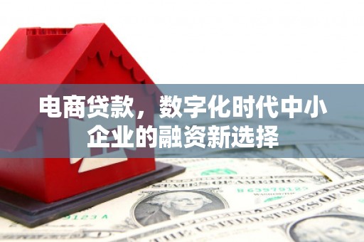 温宿电商贷款，数字化时代中小企业的融资新选择